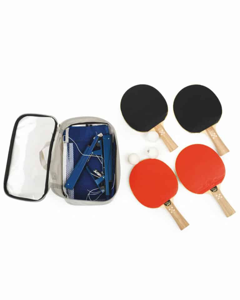 Four-Player Ping Pong Set with Net