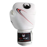 Fight and training boxing gloves