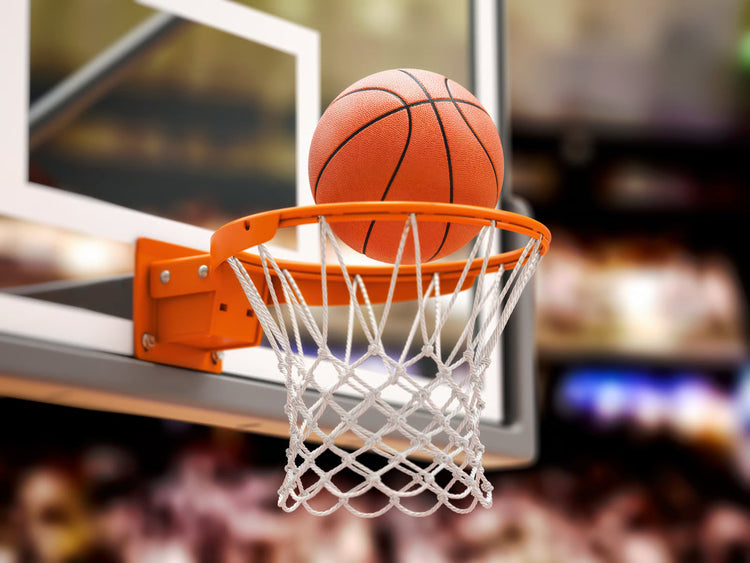 Comment choisir le bon panier de Basket ?