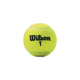 Extra Duty Championship Tennis Balls