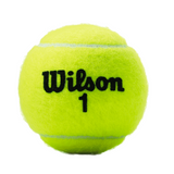 Champ 4 Extra Duty Tennis Balls