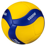 FIVB Replica Volleyball Ball